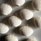 Shell-Shaped Scented Candle